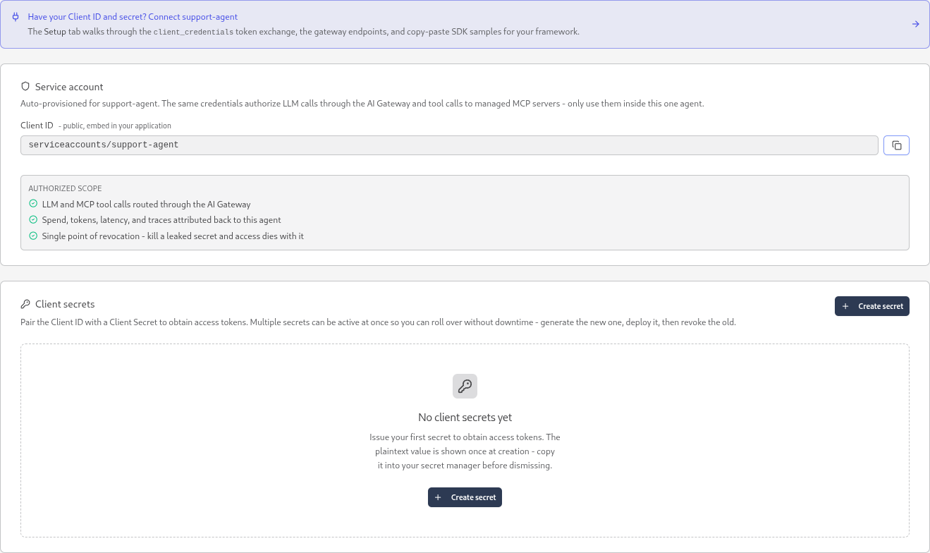The Credentials tab for a self-managed agent